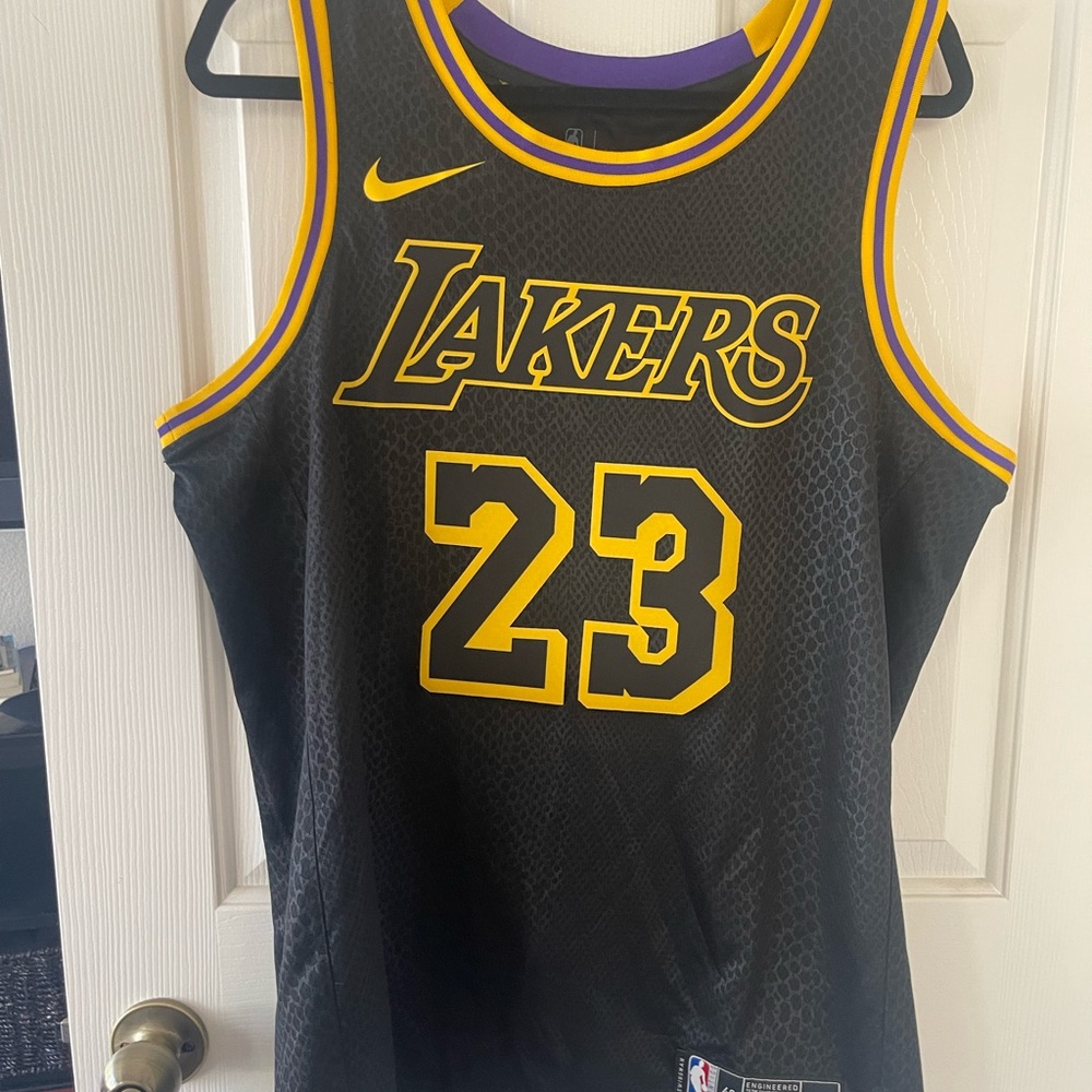 Authentic new LBJ lakers jersey